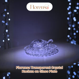 Florensa Transparent Crystal Kachua on Glass Plate